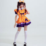 Orange Maid Cosplay Anime Princess Dress